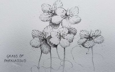 Day 84