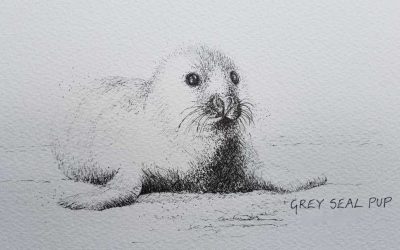 Day 83