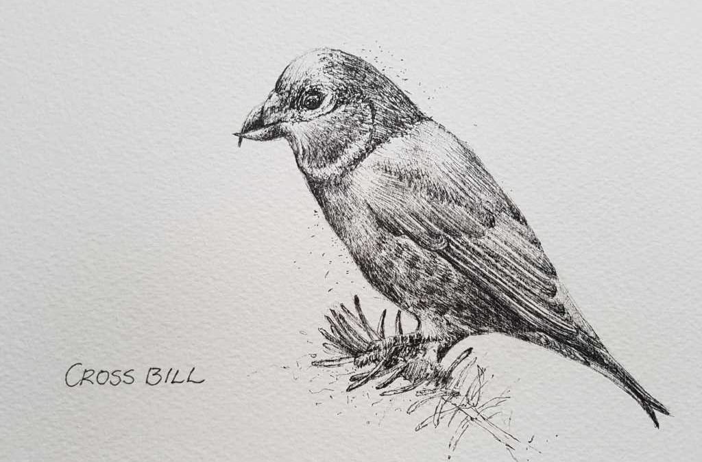 Day 89