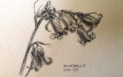 Day 79