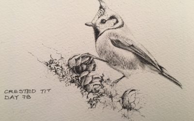 Day 78