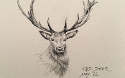 Day 72