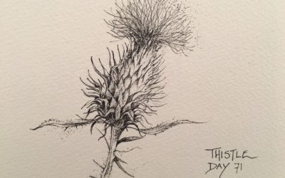 Day 71