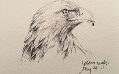 Day 74