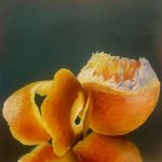Oil on Wooden Panel - 25cm x 25cm